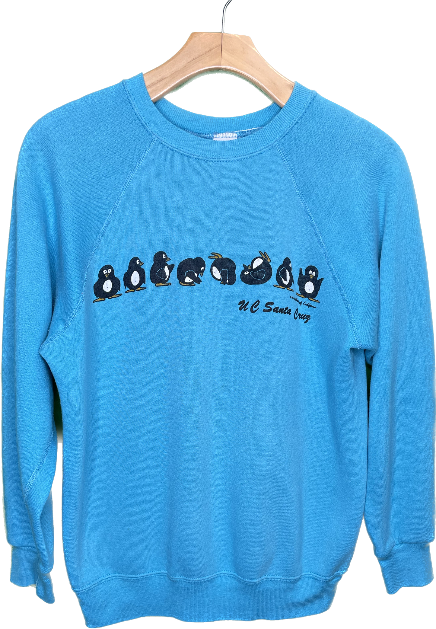 Vintage M UCSC College University Santa Cruz Penguins Sweatshirt