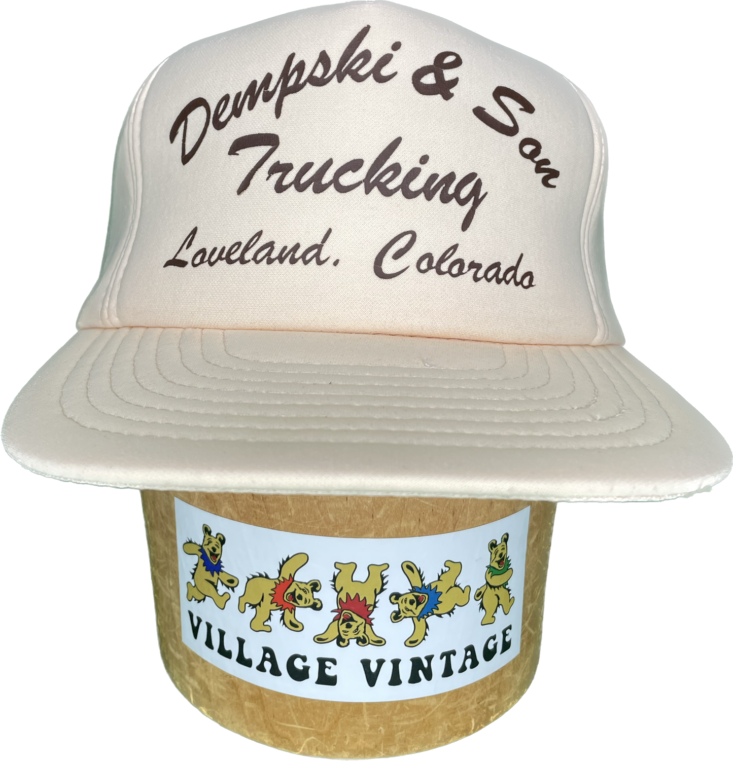 Vintage Dempski & Son Trucking Foam SnapBack Trucker Hat