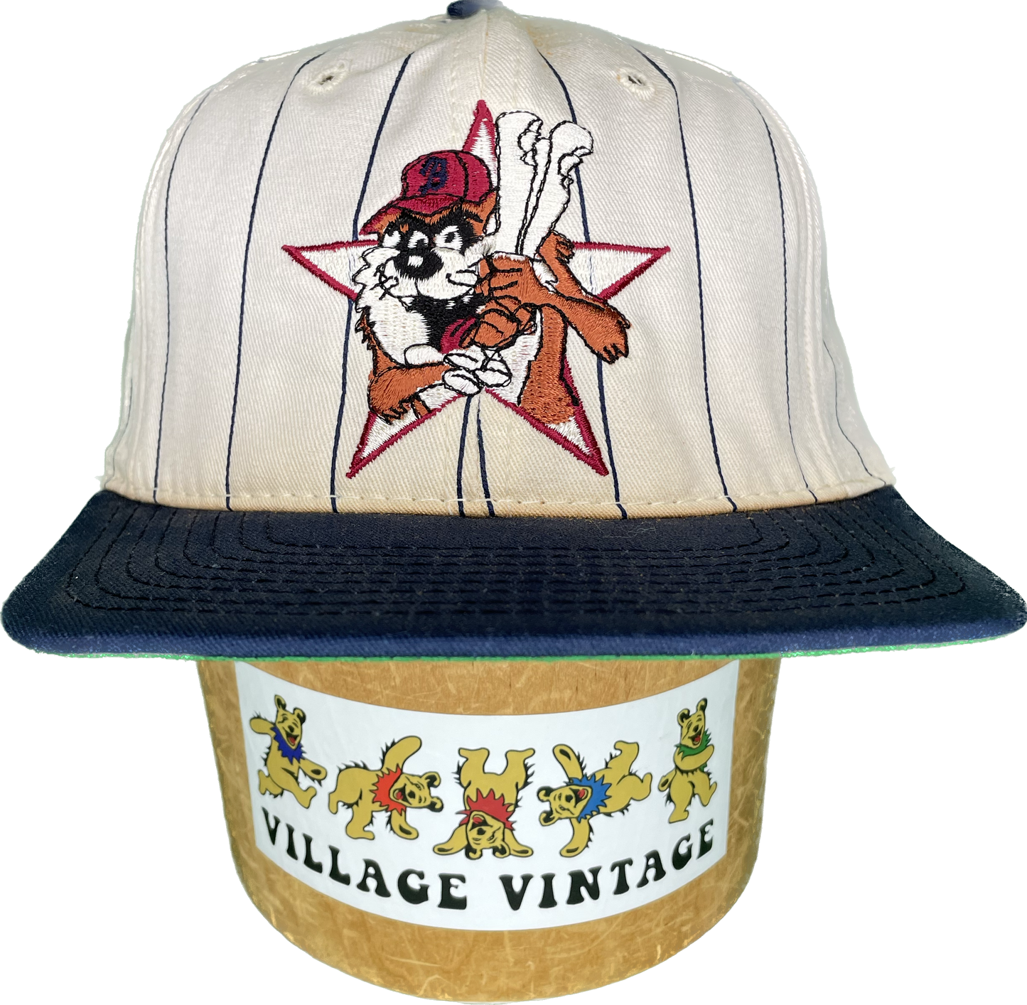 Vintage 90s Taz Looney Tunes Stripe Baseball SnapBack Hat
