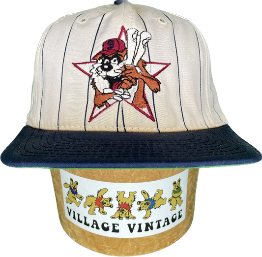 Vintage 90s Taz Looney Tunes Stripe Baseball SnapBack Hat