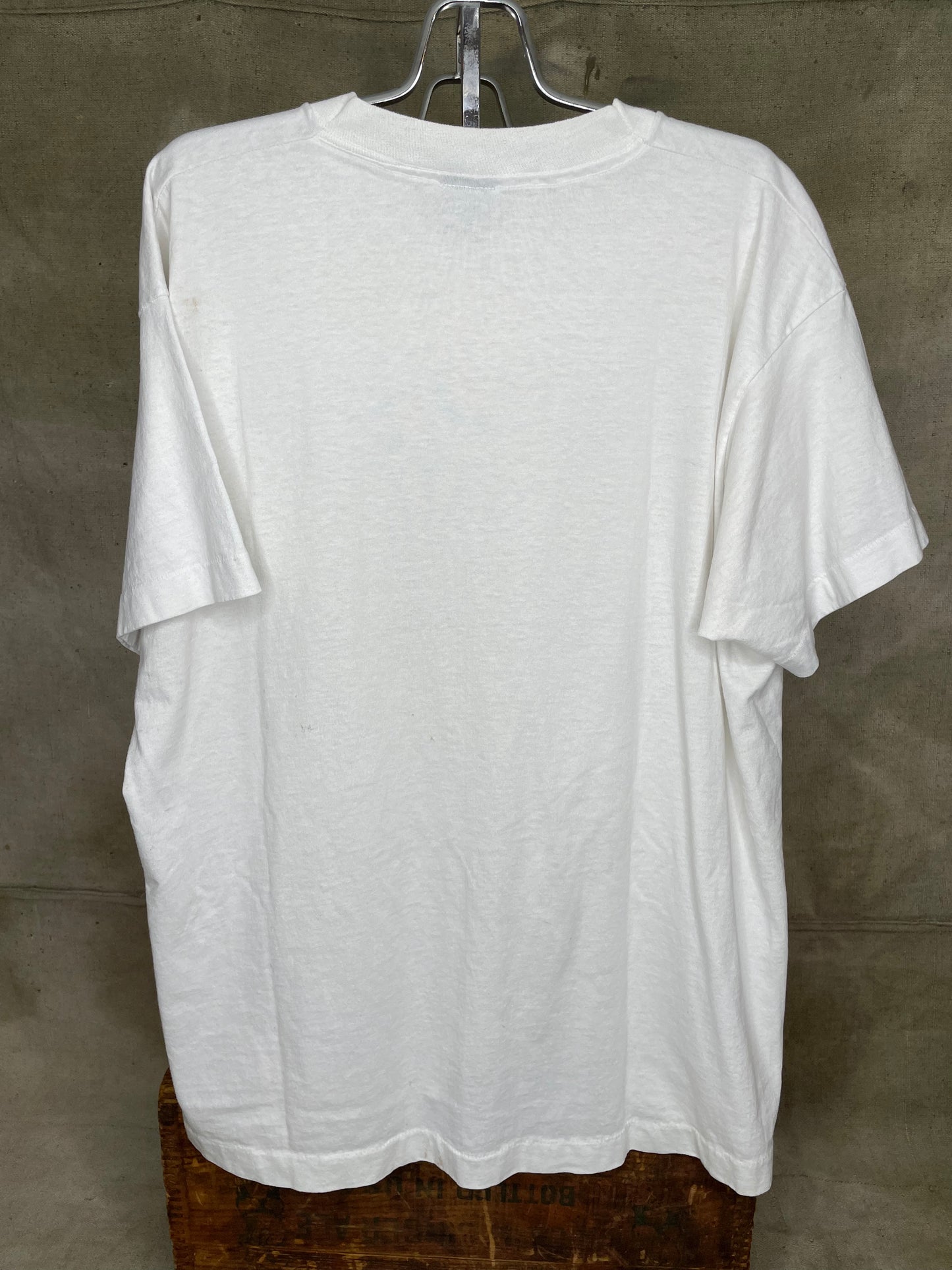 Vintage L/XL Princeton University Staff Picnic 90s Shirt
