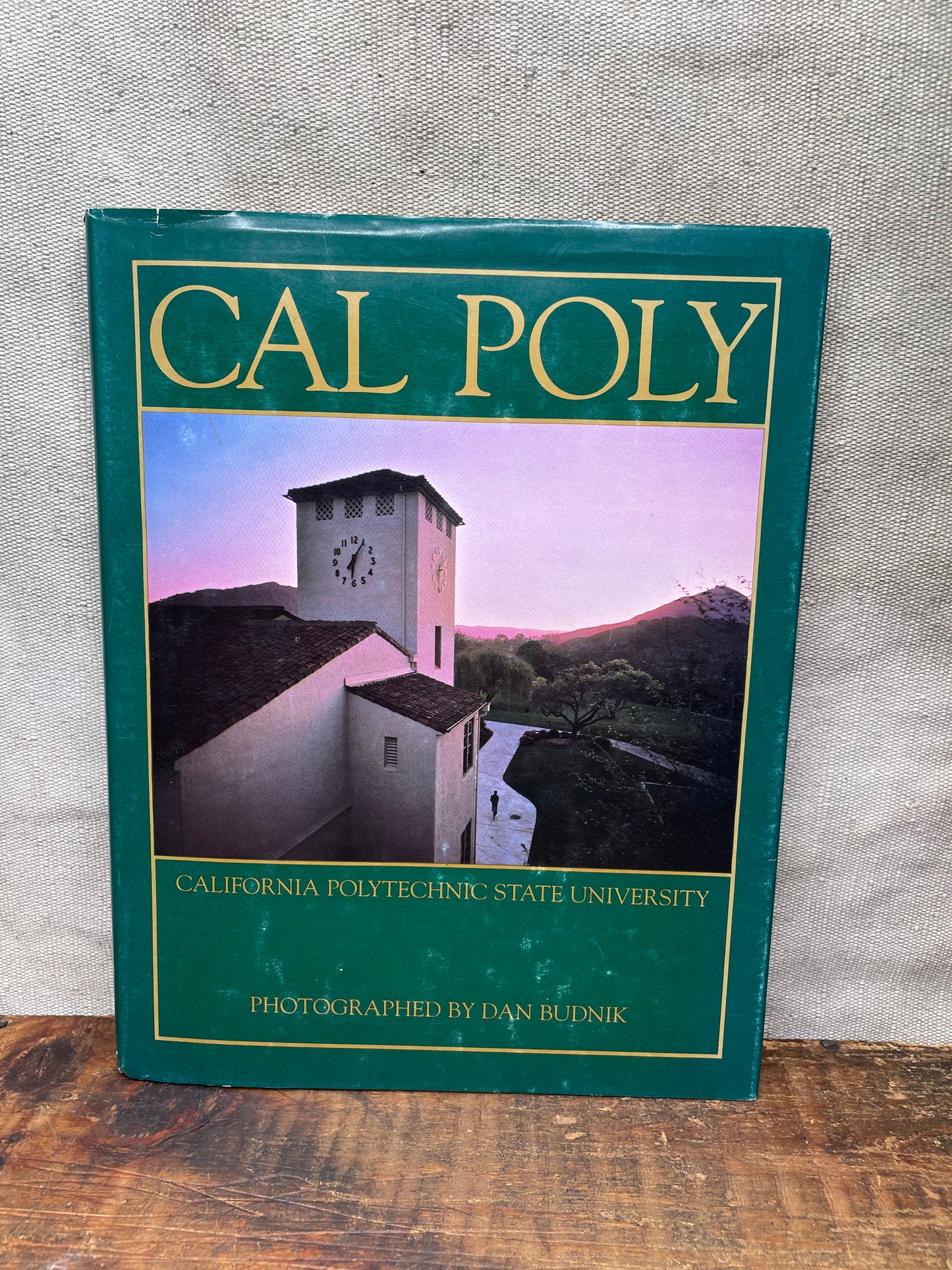 Vintage Cal Poly University Book